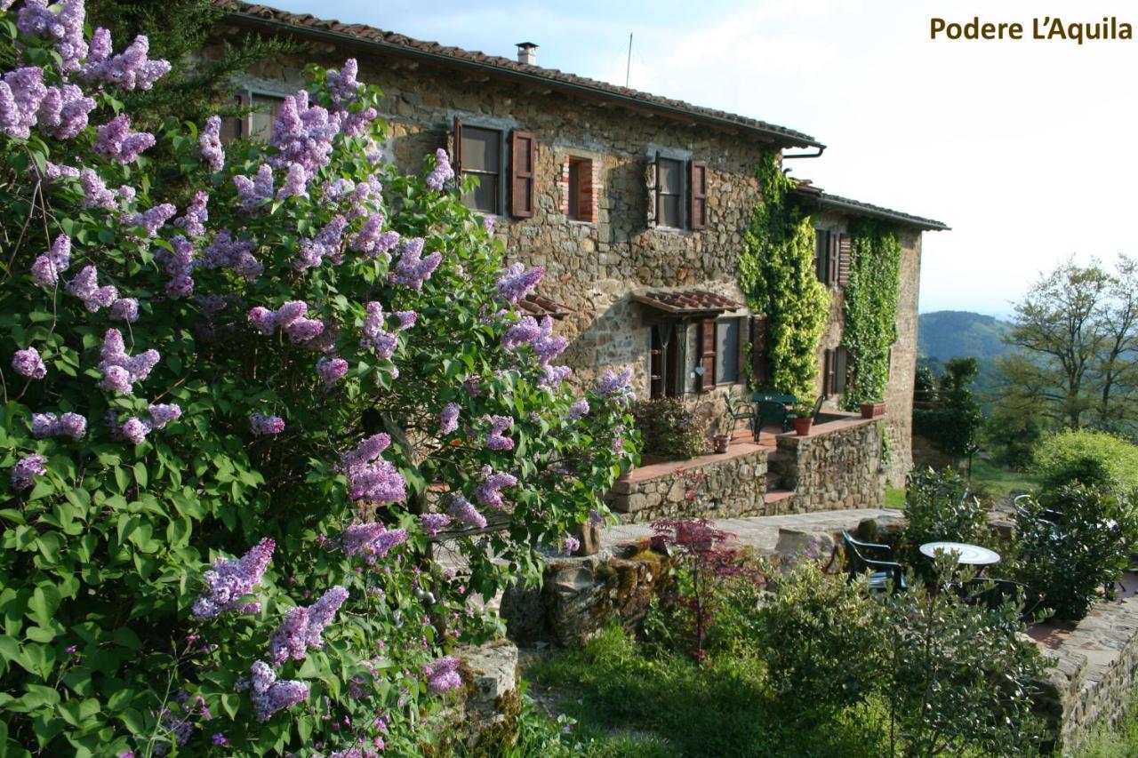 Podere L'Aquila Gaiole in Chianti Dış mekan fotoğraf