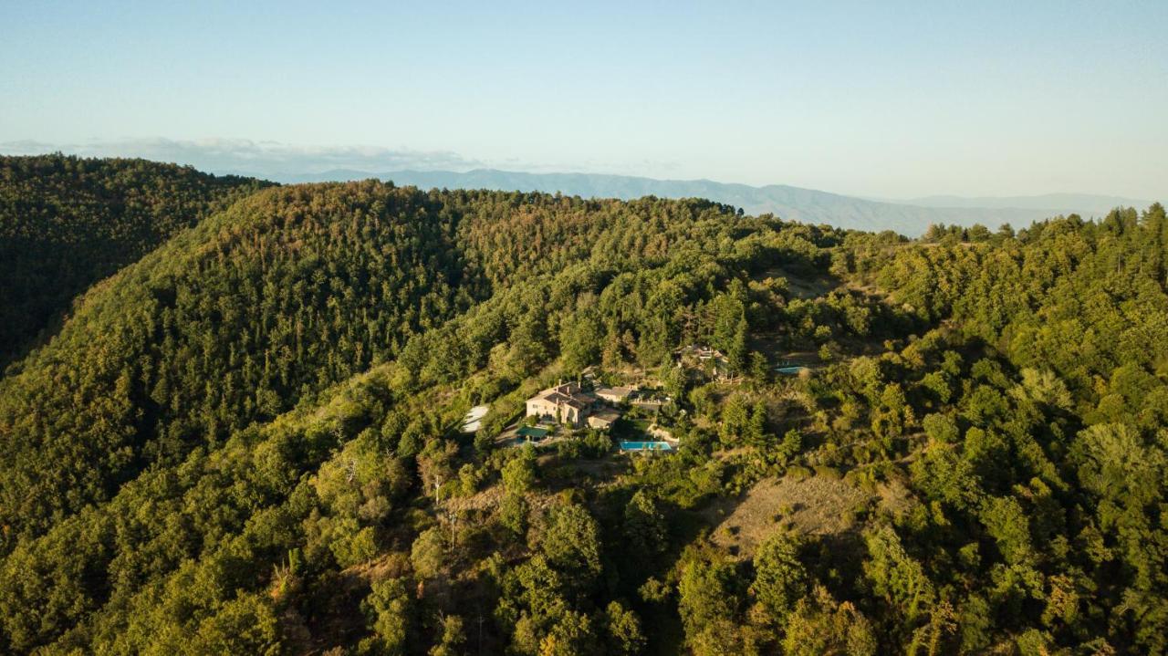 Podere L'Aquila Gaiole in Chianti Dış mekan fotoğraf