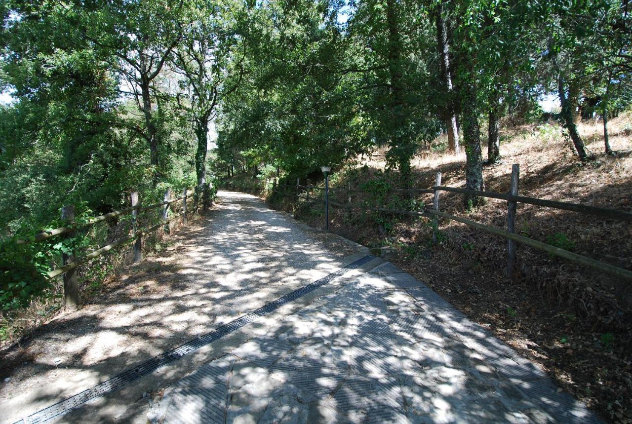 Podere L'Aquila Daire Gaiole in Chianti Dış mekan fotoğraf