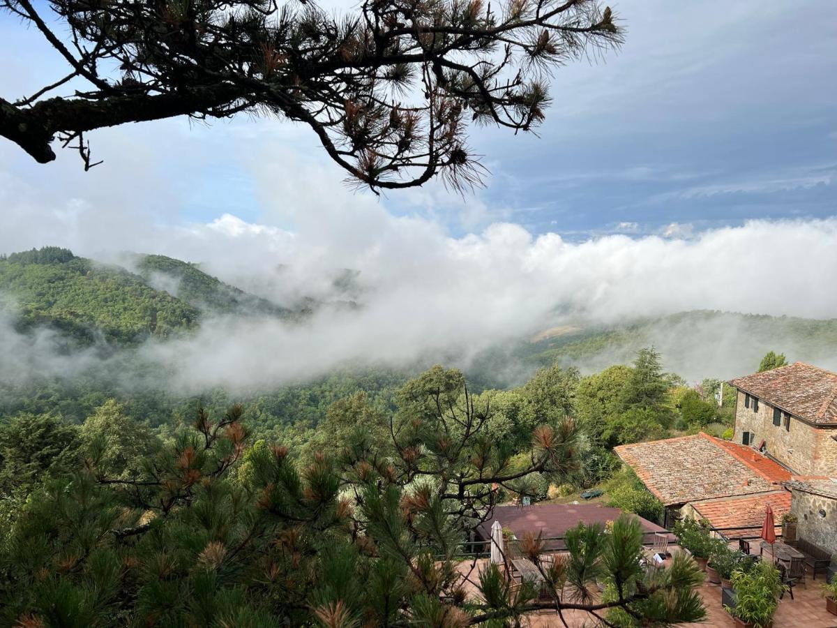 Podere L'Aquila Gaiole in Chianti Dış mekan fotoğraf