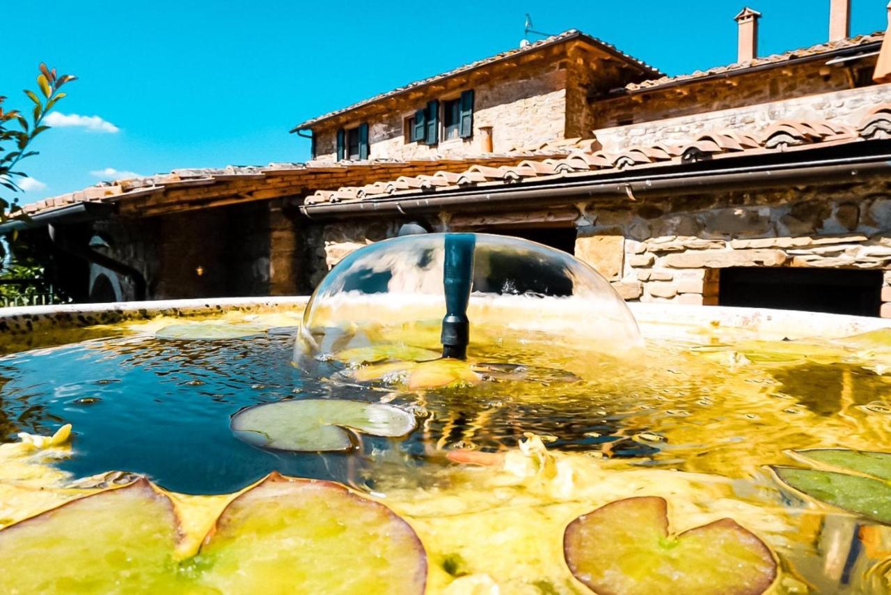 Podere L'Aquila Daire Gaiole in Chianti Dış mekan fotoğraf