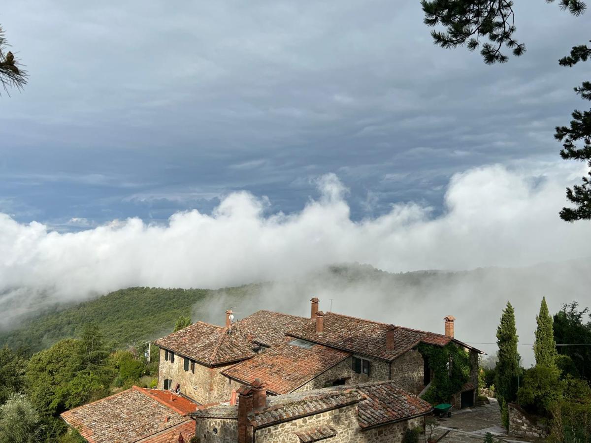 Podere L'Aquila Gaiole in Chianti Dış mekan fotoğraf