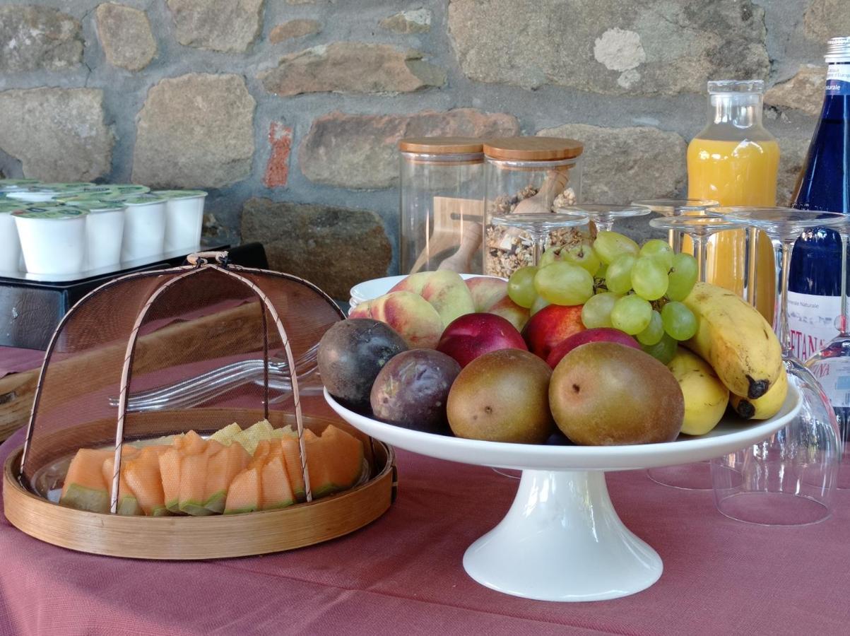 Podere L'Aquila Gaiole in Chianti Dış mekan fotoğraf