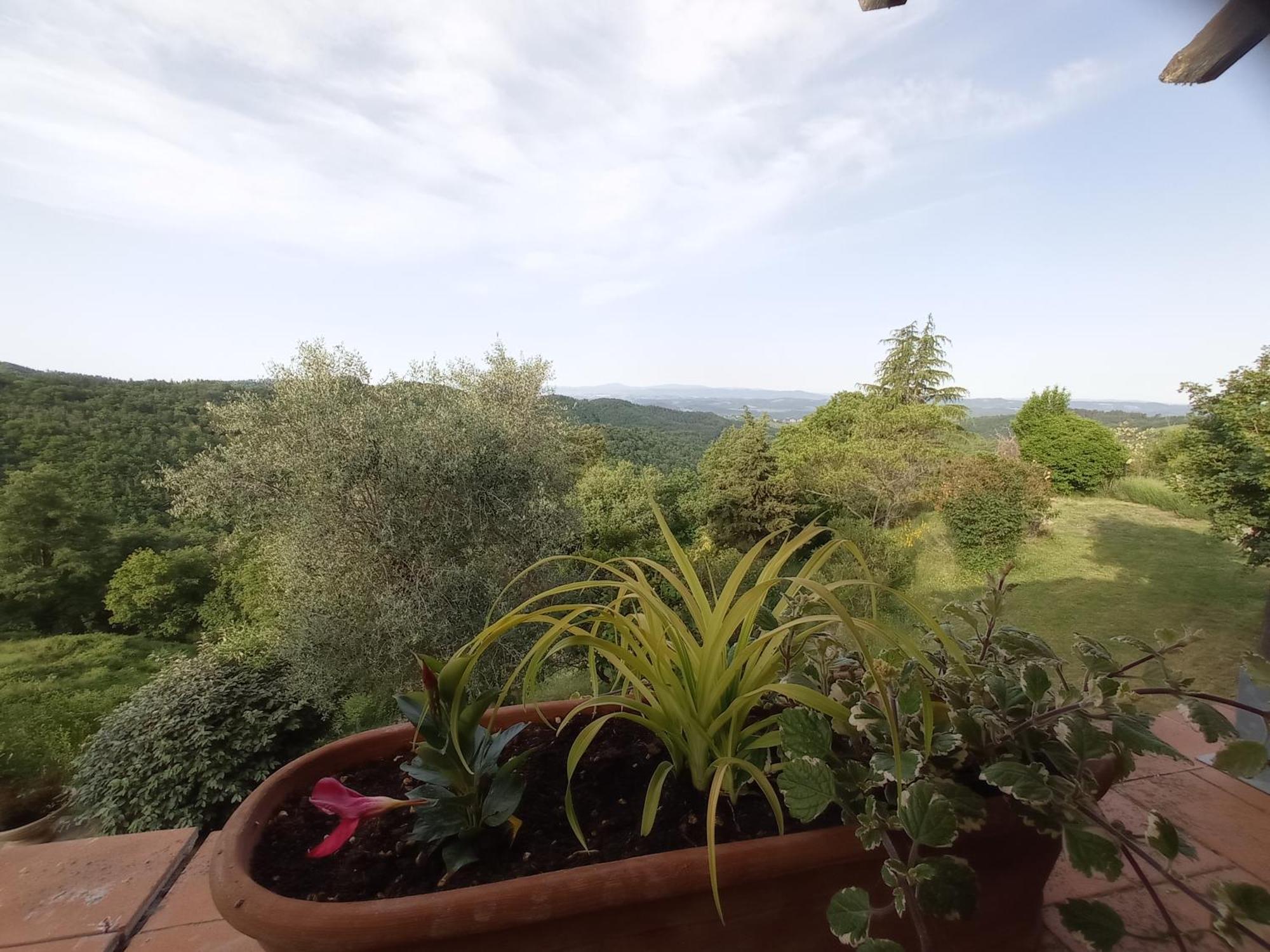 Podere L'Aquila Daire Gaiole in Chianti Oda fotoğraf